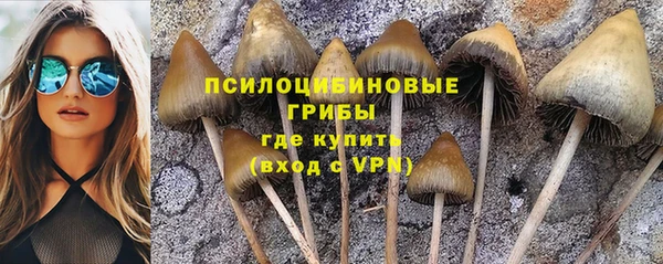 кокаин VHQ Бородино