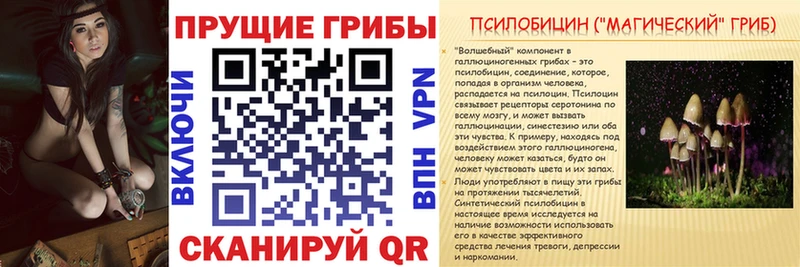 где продают   ОМГ ОМГ tor  Псилоцибиновые грибы Psilocybe  Сосногорск 